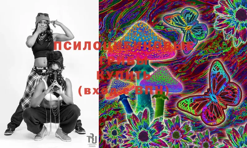 Псилоцибиновые грибы Magic Shrooms  Выкса 